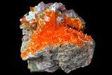Wulfenite Crystal Cluster - Rowley Mine, AZ #76898-1
